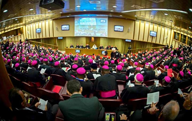 Towards the Synod for the Amazon: some data