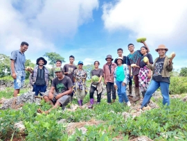 Timor Oriental – Les élèves de l'École Agricole Don Bosco de Fuiloro participent au programme de formation au travail