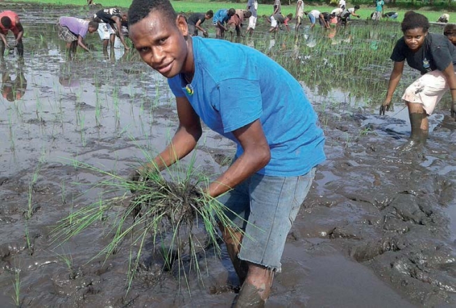 Solomon Islands – Don Bosco provides a second chance