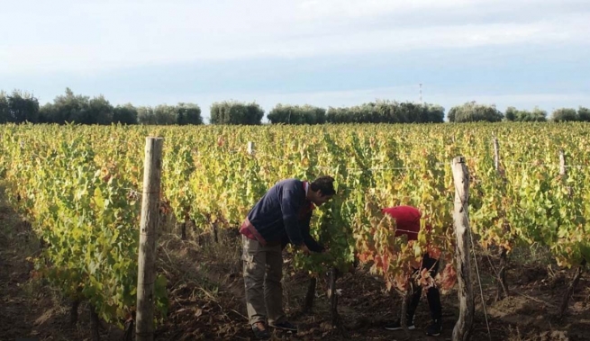 Argentina - "Gerando jovens empreendedores" pelo treinamento profissional