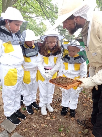 Czech Republic – Salesian honey in České Budějovice