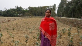 India – Tea farmers receive financial support thanks to donor funding from Salesian Missions