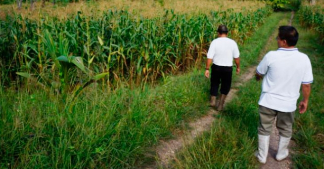 Philippines - Chocolate makes life sweet: "a nursery for cocoa plantations"