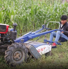 Ecuador – Álex, un giovane sognatore tra i tanti minori che compongono la “Fattoria Don Bosco” di Ambato