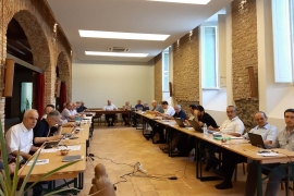 RMG – "Which paternity today for an affective maturation of the Salesians?"