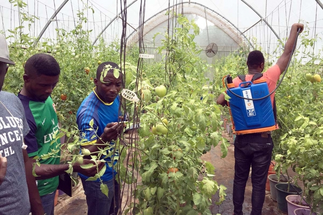 Ghana – Formación para profesores en Bio-Entomología, y en el uso de insectos en la agricultura