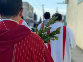 Celebración del Domingo de Ramos en todo el mundo