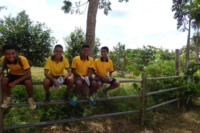 Australia - Una llamada a la solidaridad en favor de las obras Salesianas de Timor Este
