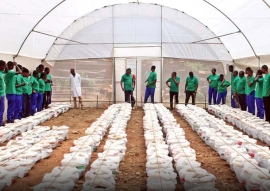 Rwanda – Salezjanie z Gatengi rozpoczynają realizację programu kształcenia zawodowego w zakresie ekologicznego i zrównoważonego rolnictwa