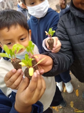 Argentina – Triple-Impact Point Education at Salta Salesian School