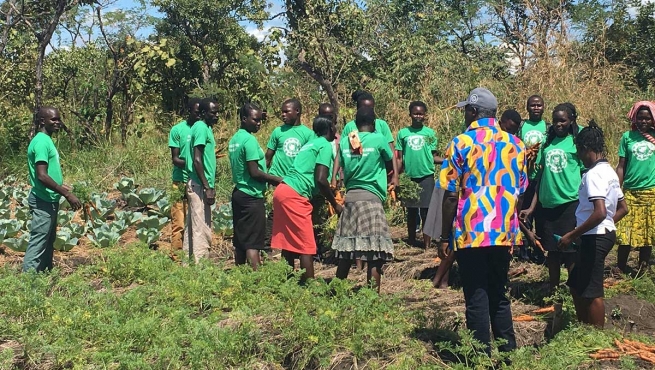 Uganda – Gafanhotos e coronavírus: riscos concretos de emergência humanitária