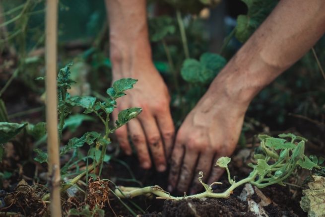 Impronta ecologica nel mondo