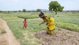 Sudan del Sud – Celebrare le giornate internazionali con dei gesti concreti. L’esempio salesiano di Gumbo