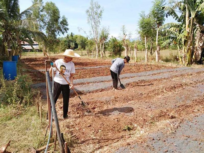 Filipinas – Los “bosquinos” de Mindanao se preparan para la época pospandémica