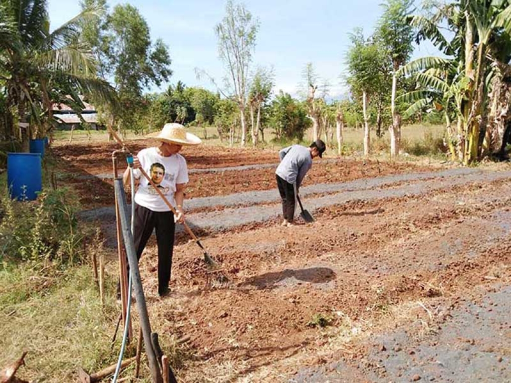 Philippines - Projet agricole de la communauté salésienne de Mati