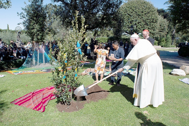 Vatican – "Season of Creation" starts on September 1st