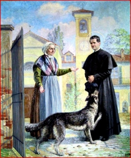 "El Gris", el perro que protegía a Don Bosco