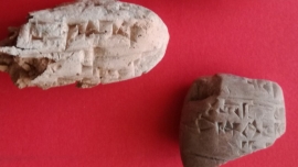 Italia – L’UPS al servizio della ricerca e del progresso scientifico: pubblicato uno studio sulla collezione di testi cuneiformi conservati nella biblioteca