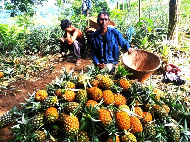 Inde – « Virasat - L'héritage : » un Programme de Développement pour une chaîne d'approvisionnement traditionnelle