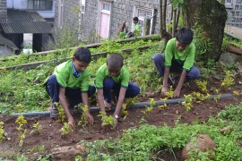 RMG – Les jeunes artisans du changement du monde : un avenir possible