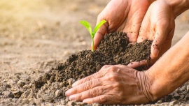 Italia – UPS, “Università Laudato Si’”