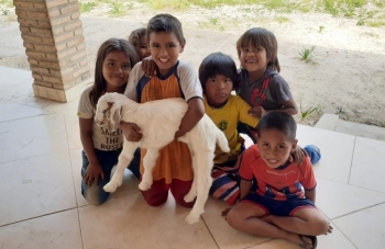 Paraguay – Sheep Projects and Sustainable Vegetable Gardens of Social Ministry in Chaco Paraguayo