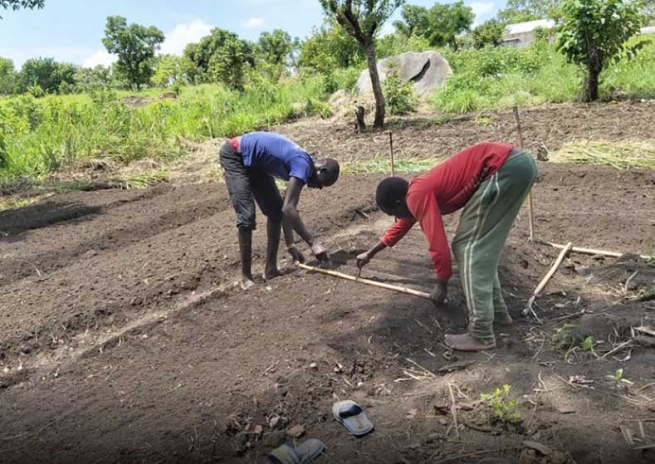 Uganda - Isolation and food shortages for Palabek refugees due to coronavirus