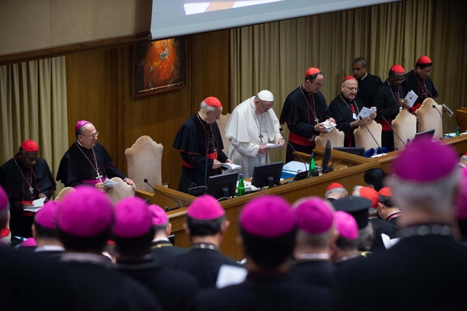 Vaticano - Jóvenes santos para renovar la Iglesia y el mundo