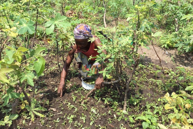República Democrática do Congo – Desenvolvimento e autossuficiência alimentar. Protagonistas as mães