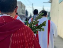 Celebração do Domingo de Ramos no mundo