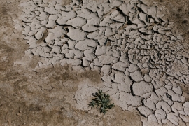 Connaître « Laudate Deum, » l'Exhortation Apostolique du Pape François sur la crise climatique