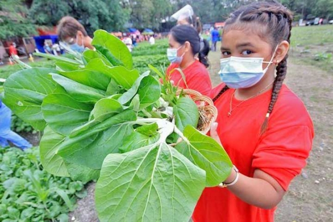 Philippines – Des terrains de jeux aux champs agricoles : la créativité salésienne au service des pauvres