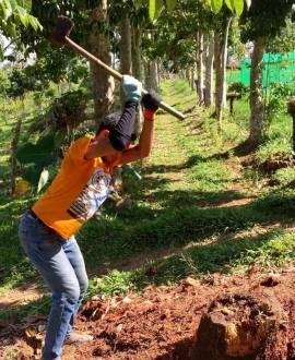 Estados Unidos – Dia Internacional da Juventude 2021: os programas agrícolas salesianos