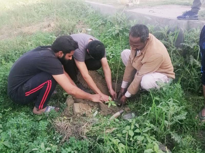 Pakistan – Salezjańskie ośrodki z Kwety i Lahaur zasadziły setkę drzew