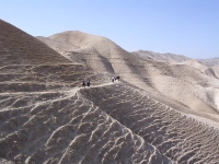 Avanzano due tipi di deserto