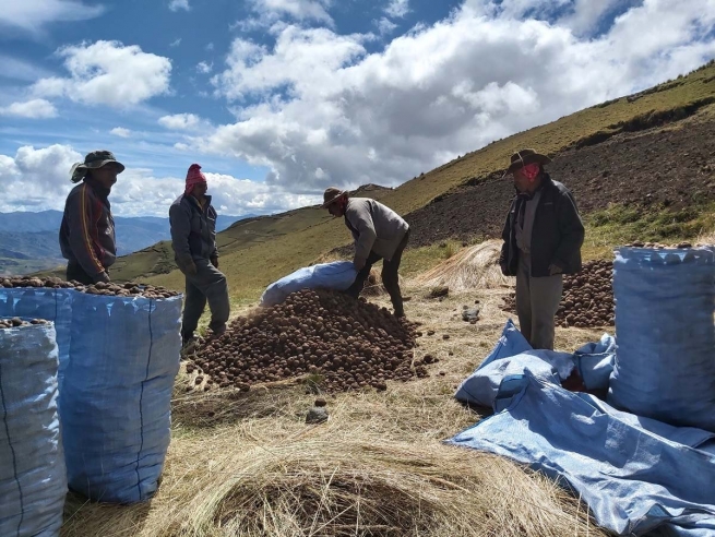 Bolivia – Un progetto salesiano a Kami per promuovere la sovranità alimentare