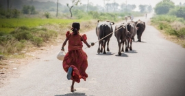 Índia – Lutamos contra os casamentos precoces. A história de Venkumari