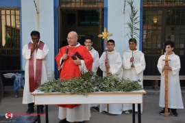 Domingo de Ramos no mundo