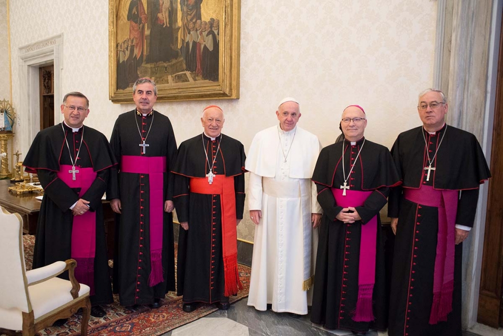 Vaticano - El Papa Francisco recibió en audiencia al Comité Permanente de  la Conferencia Episcopal de Chile