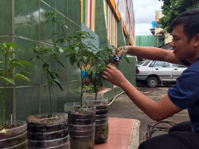 Philippines – « Don Bosco Pasil » au travail pour un campus de plus en plus vert