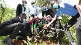 Kenia – Los CFP salesianos de África subsahariana celebran la Jornada  Africana del Medio Ambiente 2021
