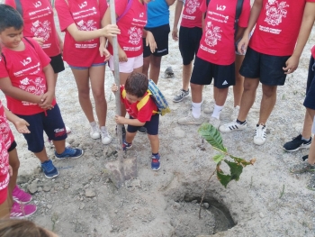 Italia – El oratorio salesiano de Bova Marina se tiñe de verde